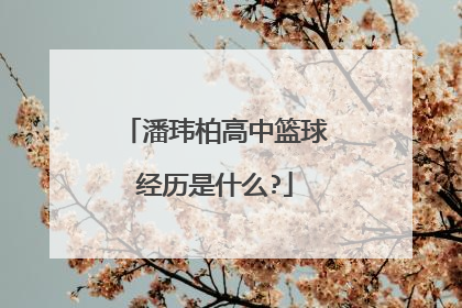 潘玮柏高中篮球经历是什么?