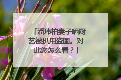 潘玮柏妻子晒厨艺被扒用盗图。对此您怎么看？