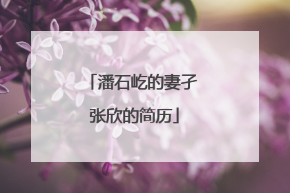 潘石屹的妻孑张欣的简历