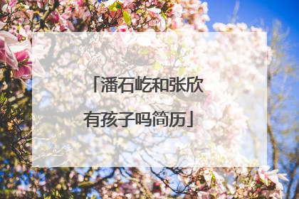 潘石屹和张欣有孩子吗简历