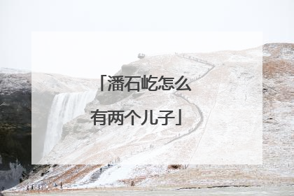 潘石屹怎么有两个儿子