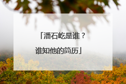 潘石屹是谁?谁知他的简历