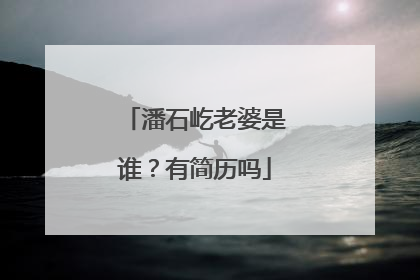 潘石屹老婆是谁？有简历吗