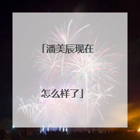 潘美辰现在怎么样了