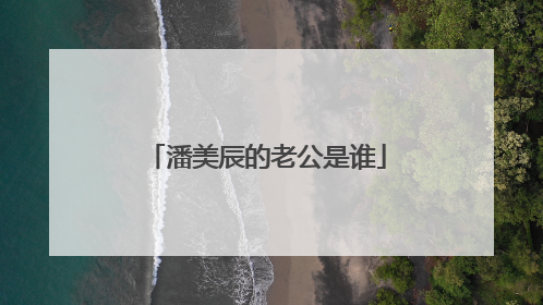 潘美辰的老公是谁