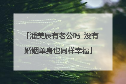 潘美辰有老公吗 没有婚姻单身也同样幸福