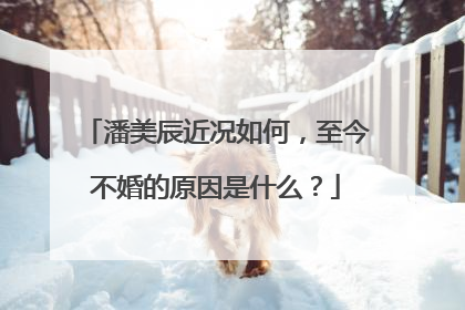 潘美辰近况如何，至今不婚的原因是什么？