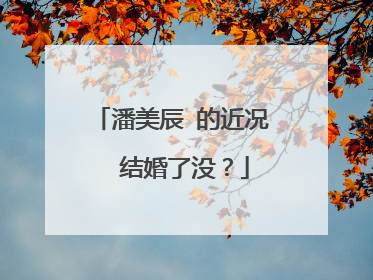 潘美辰 的近况  结婚了没？