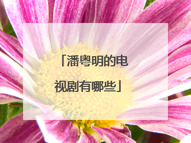 潘粤明的电视剧有哪些