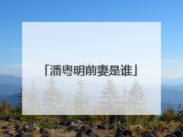 潘粤明前妻是谁