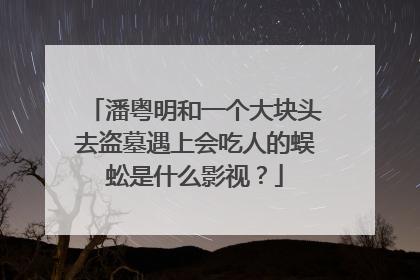 潘粤明和一个大块头去盗墓遇上会吃人的蜈蚣是什么影视？