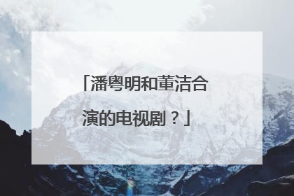 潘粤明和董洁合演的电视剧?