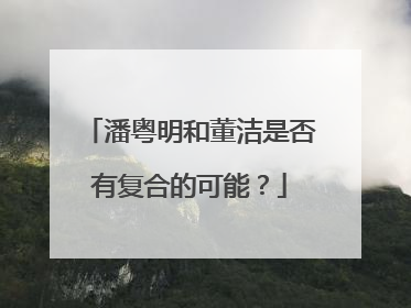 潘粤明和董洁是否有复合的可能?