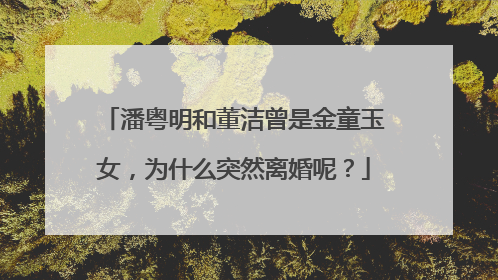 潘粤明和董洁曾是金童玉女,为什么突然离婚呢?