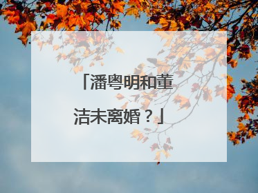 潘粤明和董洁未离婚？