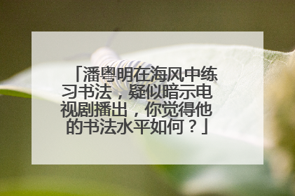 潘粤明在海风中练习书法，疑似暗示电视剧播出，你觉得他的书法水平如何？
