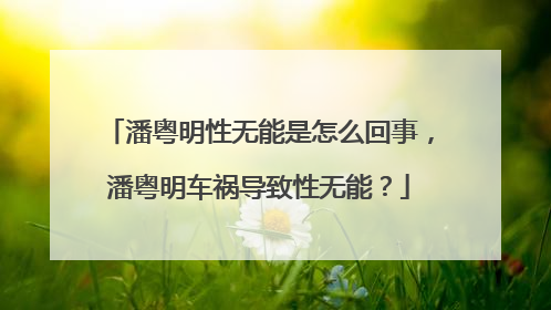 潘粤明性无能是怎么回事,潘粤明车祸导致性无能?