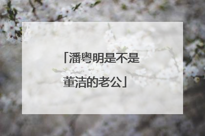 潘粤明是不是董洁的老公