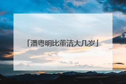 潘粤明比董洁大几岁