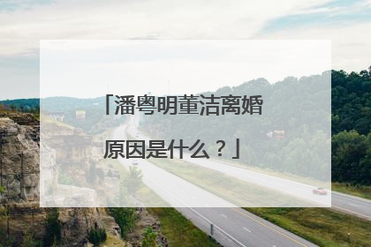 潘粤明董洁离婚原因是什么？