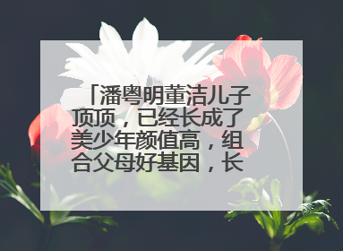 潘粤明董洁儿子顶顶，已经长成了美少年颜值高，组合父母好基因，长相如何？