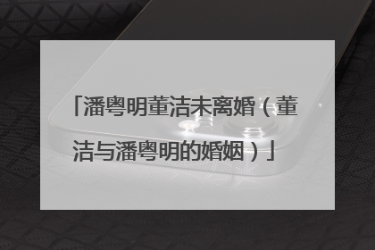 潘粤明董洁未离婚(董洁与潘粤明的婚姻)