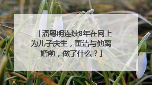潘粤明连续8年在网上为儿子庆生，董洁与他离婚前，做了什么？