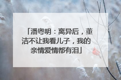 潘粤明：离异后，董洁不让我看儿子，我的亲情爱情都有泪