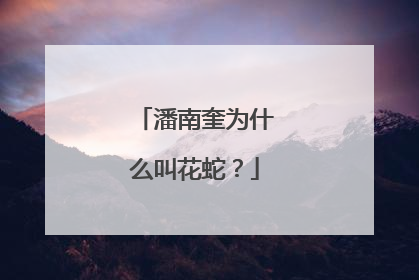 潘南奎为什么叫花蛇？