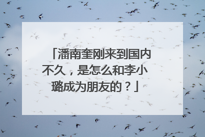 潘南奎刚来到国内不久,是怎么和李小璐成为朋友的?