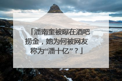 潘南奎被曝在酒吧捞金,她为何被网友称为“潘十亿”?