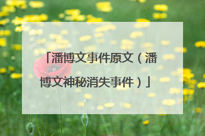 潘博文事件原文（潘博文神秘消失事件）