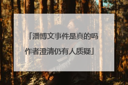 潘博文事件是真的吗作者澄清仍有人质疑