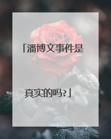 潘博文事件是真实的吗?