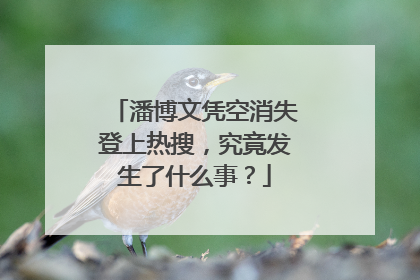 潘博文凭空消失登上热搜，究竟发生了什么事？