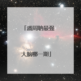 潘周聃最强大脑哪一期