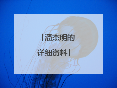 潘杰明的详细资料