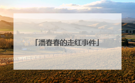 潘春春的走红事件