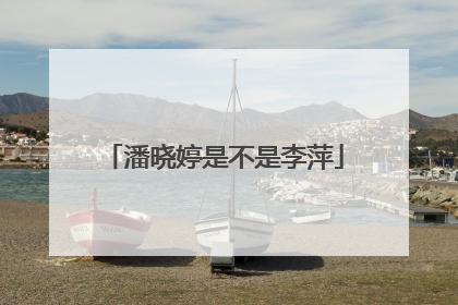 潘晓婷是不是李萍