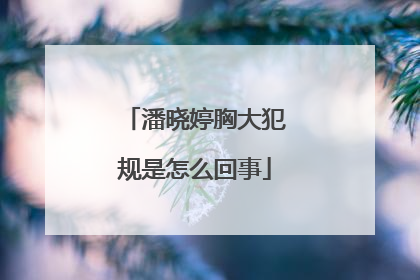 潘晓婷胸大犯规是怎么回事