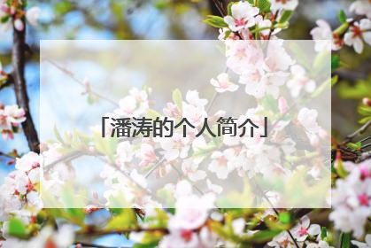 潘涛的个人简介