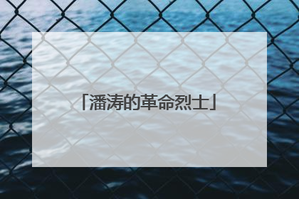 潘涛的革命烈士