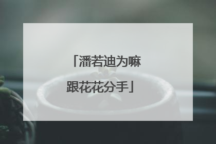 潘若迪为嘛跟花花分手