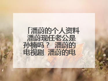 潘蔚的个人资料 潘蔚现任老公是孙楠吗？ 潘蔚的电视剧 潘蔚的电影？ 潘蔚的微博 潘蔚的博客