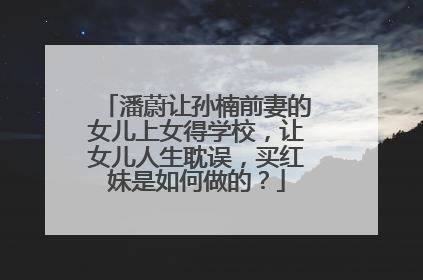 潘蔚让孙楠前妻的女儿上女得学校，让女儿人生耽误，买红妹是如何做的？