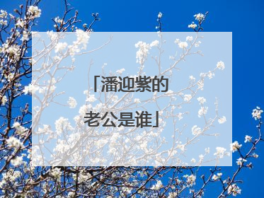 潘迎紫的老公是谁