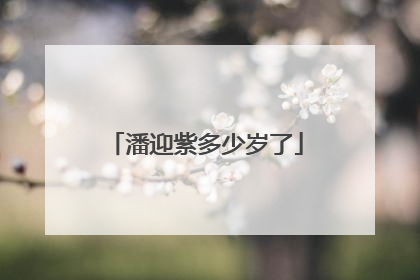 潘迎紫多少岁了