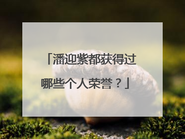 潘迎紫都获得过哪些个人荣誉?