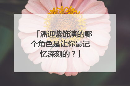 潘迎紫饰演的哪个角色是让你最记忆深刻的？