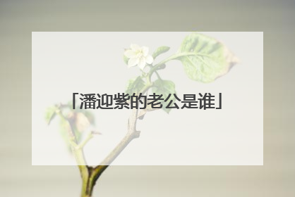 潘迎紫的老公是谁